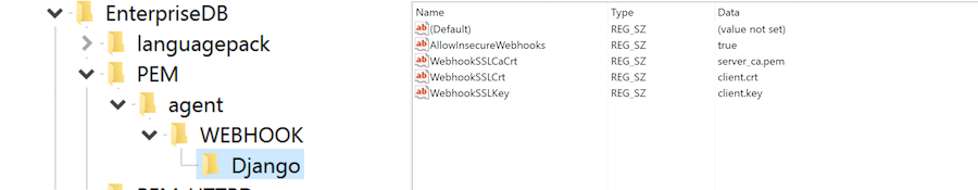 Example - Webhook SSL Parameters in windows registry