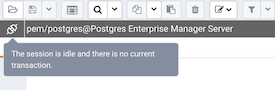 Query tool connection and transaction status