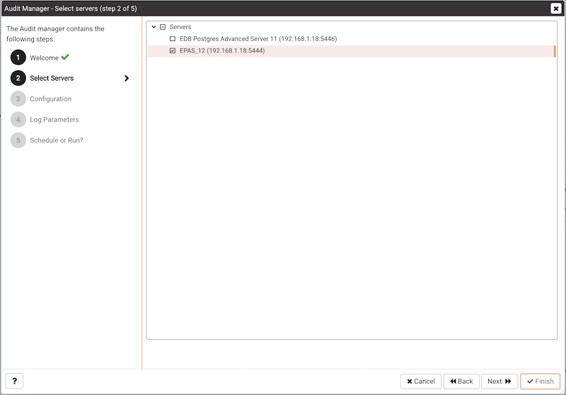 Select the servers you wish to configure for auditing