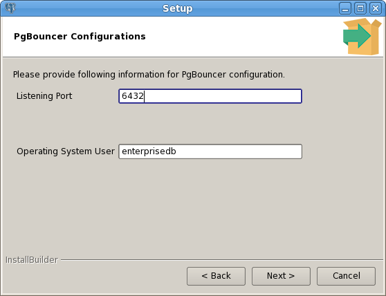 The PgBouncer Configuration window